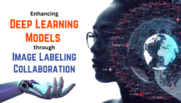 Enhancing-Deep-Learning-Models-through-Image-Labeling-Collaboration