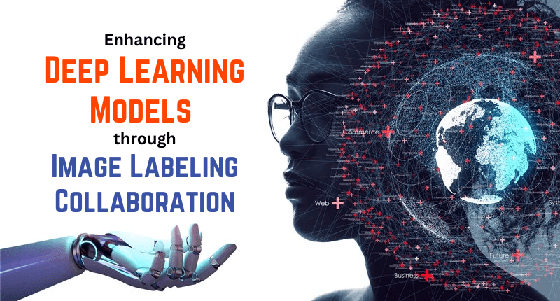 Enhancing-Deep-Learning-Models-through-Image-Labeling-Collaboration