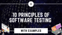 software-testing-principles